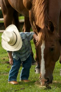 Tulsa Horse Boarding